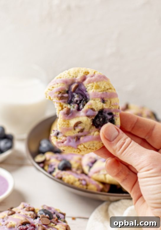 Sweet & Tangy Blueberry Chocolate Chip Cookies 8 Blueberry Oatmeal Chocolate Chip Cookies are super thick, soft, and chewy oatmeal cookies that are perfectly spiced and stuffed full of fresh blueberries!