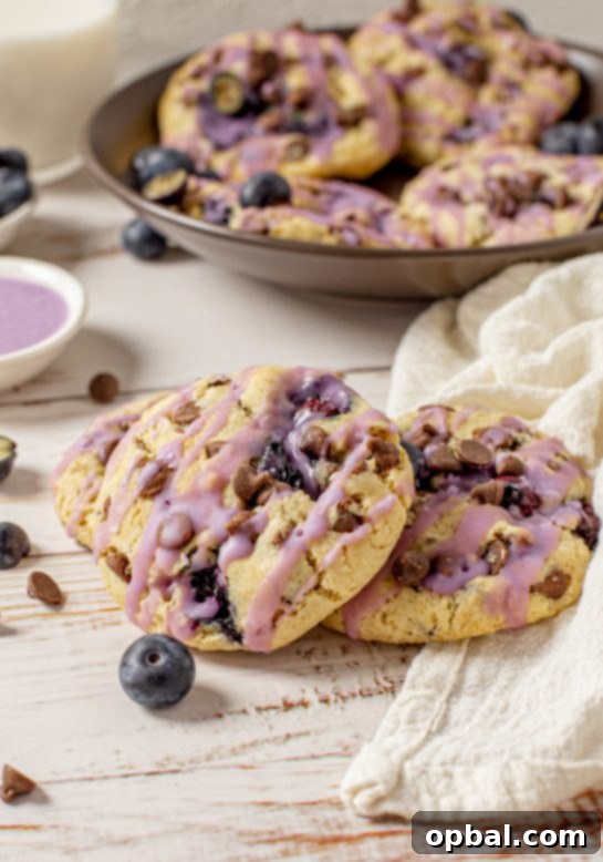 Sweet & Tangy Blueberry Chocolate Chip Cookies 9 The Best Blueberry Oatmeal Chocolate Chip Cookies are deliciously thick, soft, and chewy oatmeal cookies that are perfectly spiced and stuffed full of fresh or frozen blueberries!