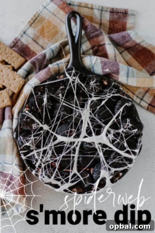 Spooky Spiderweb Smores Dip 2 Spiderweb S'mores Dip recipe needs only a few ingredients, takes minutes to make, and is a super-fun Halloween party food idea! Creamy melted white chocolate topped with toasted marshmallows served with graham crackers, cookies, or fruit for dipping.