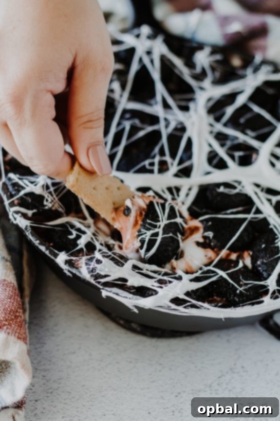 Spooky Spiderweb Smores Dip 11 Spiderweb S'mores Dip recipe needs only a few ingredients, takes minutes to make, and is a super-fun Halloween party food idea! Creamy melted white chocolate topped with toasted marshmallows served with graham crackers, cookies, pretzels or fruit for dipping.