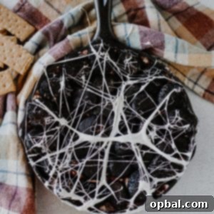Spooky Spiderweb Smores Dip 12 Overhead photo of the Spiderweb S'mores Dip recipe for Halloween