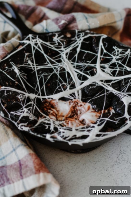 Spooky Spiderweb Smores Dip 3 Spooky Spiderweb S'mores Dip recipe needs only a few ingredients, takes minutes to make, and is a super-fun Halloween party food idea! Creamy melted white chocolate topped with toasted marshmallows served with graham crackers, cookies, or fruit for dipping.
