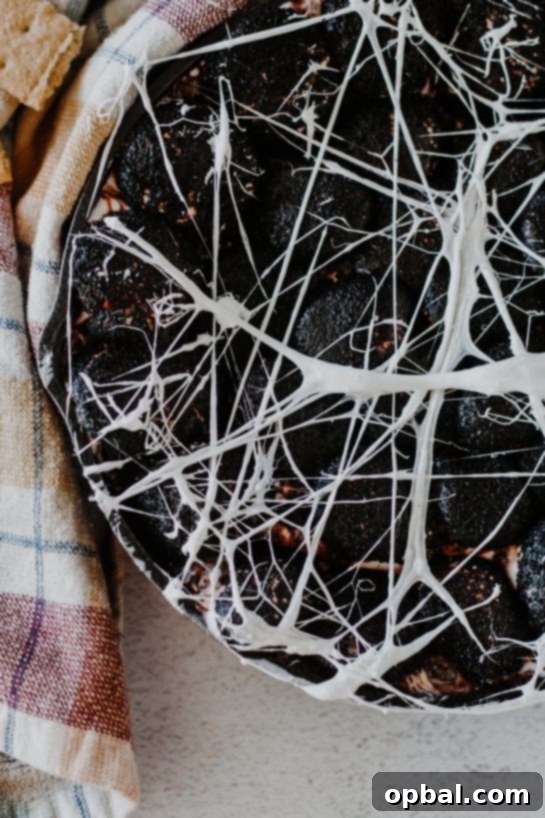 Spooky Spiderweb Smores Dip 8 Close-up photo of the Spiderweb S'mores Dip recipe for Halloween