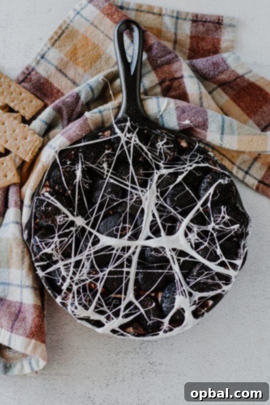 Spooky Spiderweb Smores Dip 9 Overhead photo of the Spiderweb S'mores Dip recipe for Halloween