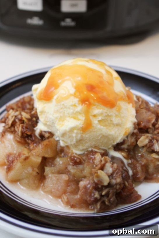 Warm Crock Pot Apple Crisp with a scoop of vanilla ice cream, ready to be served