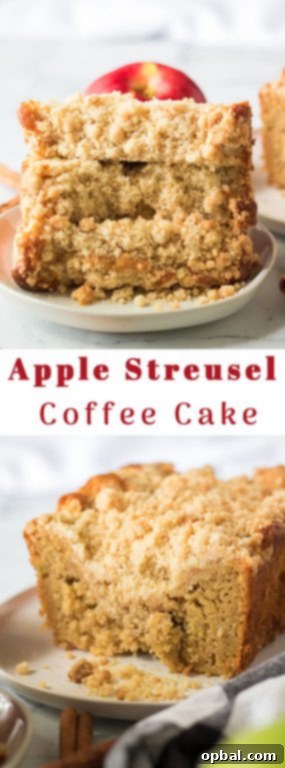 Homestyle Apple Crumble Coffee Cake 10 A visually appealing final shot of the Apple Streusel Coffee Cake, highlighting its deliciousness.