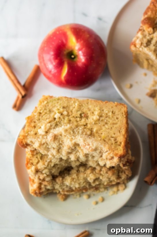 Homestyle Apple Crumble Coffee Cake 3 Close-up of a warm slice of Apple Streusel Coffee Cake with a crunchy cinnamon topping.