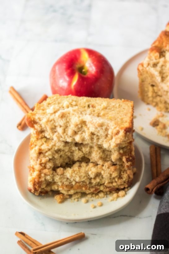 Homestyle Apple Crumble Coffee Cake 6 A close-up shot of the apple streusel coffee cake, showcasing the soft cake texture and crispy topping.