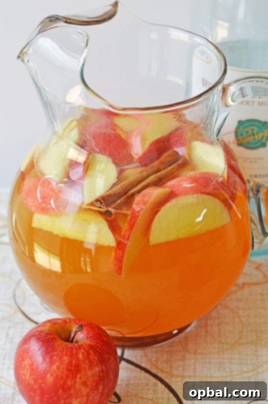 Pumpkin Patch Party Sangria 9 Pumpkin Sangria for a Crowd is a sweet, spiced, and full of fall flavors for the holiday season! This Pumpkin Sangria is perfect for autumn, Halloween pumpkin carving nights, Thanksgiving, or fall party!
