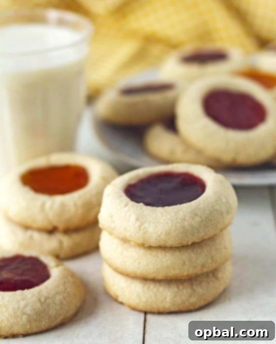 Signature Thumbprint Treats 11 Inclusive Gluten Free Vegan Thumbprint Cookies, ensuring everyone can enjoy these delightful holiday treats.