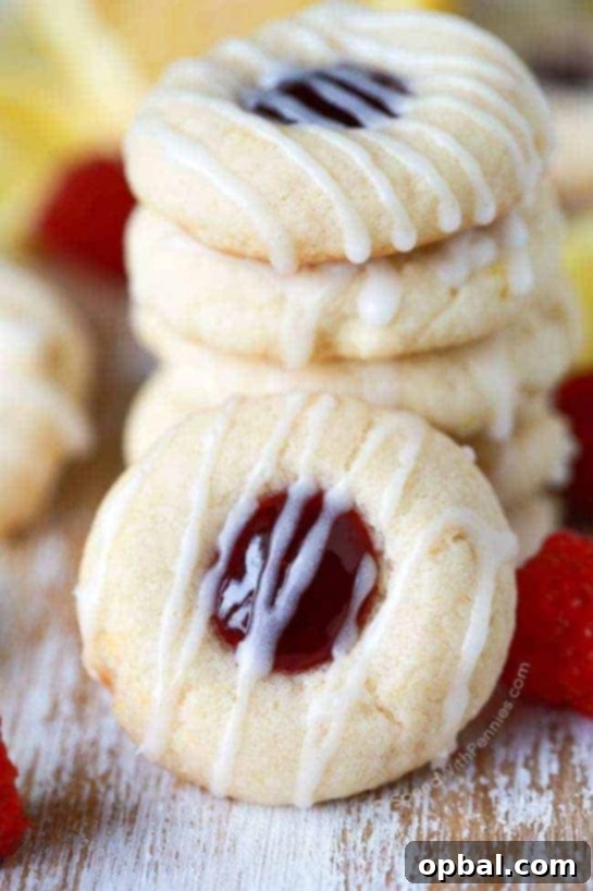 Signature Thumbprint Treats 12 Classic Raspberry Thumbprint Cookies, reliably perfect every time, yielding plenty of fruity delights for all.