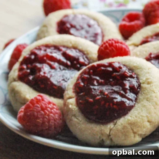 Signature Thumbprint Treats 14 Fun Peanut Butter and Jelly Thumbprints, transforming a beloved lunchtime staple into a delightful cookie treat.