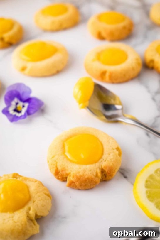 Signature Thumbprint Treats 15 Zesty Lemon Curd Thumbprints, vibrant and flavorful cookies bursting with bright lemon taste, perfect for citrus lovers.