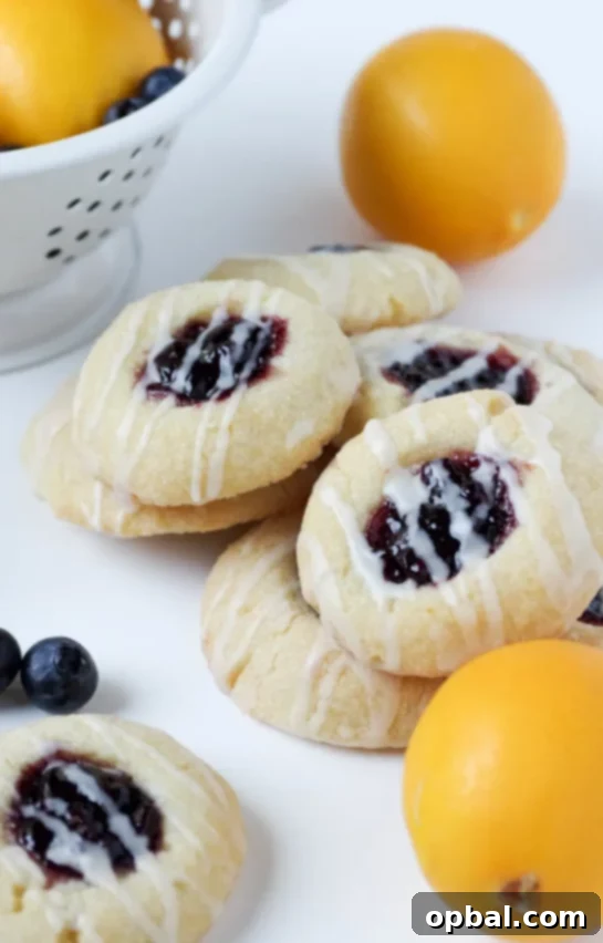Signature Thumbprint Treats 6 Refreshing Lemon Blueberry Thumbprint Cookies, combining zesty lemon with sweet blueberries for a delightful treat.