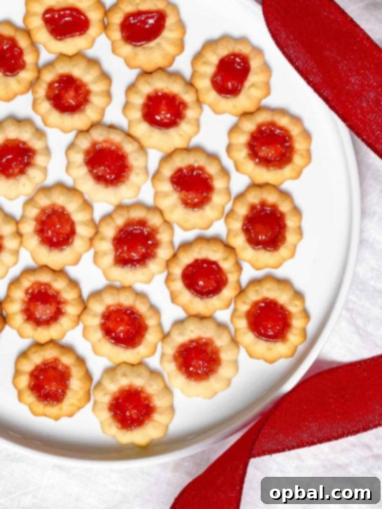 Signature Thumbprint Treats 9 Classic Spritz Cookies with Jam, transformed into delightful thumbprint cookies with your favorite fruity filling.