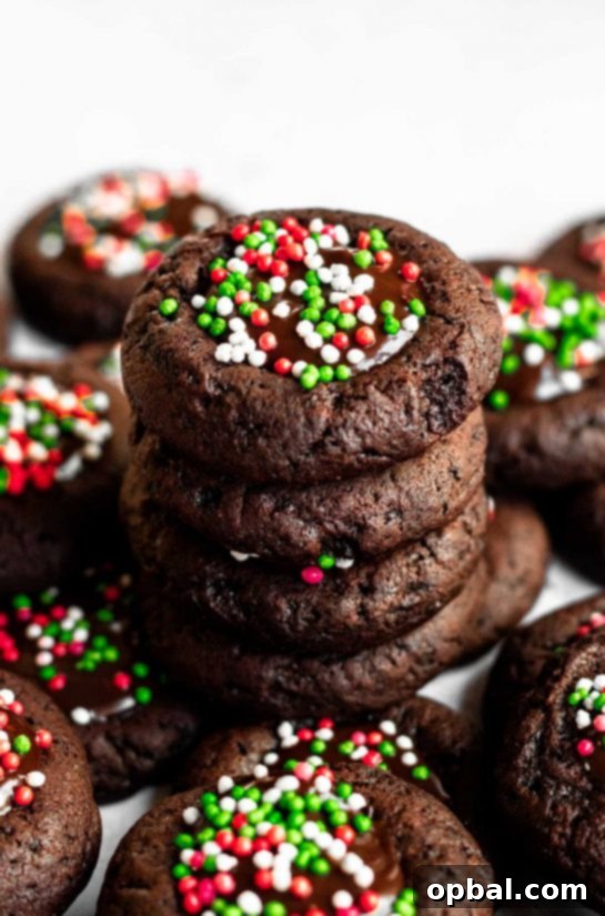 Signature Thumbprint Treats 10 Festive Double Chocolate Sprinkle Thumbprint Cookies, perfect for holiday sharing with their colorful decoration.