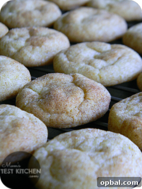 Velvet Pudding Cookies 11 Vanilla Pudding Snickerdoodles recipe. Snickerdoodles couldn’t be tastier than they are with this vanilla pudding cookie recipe.