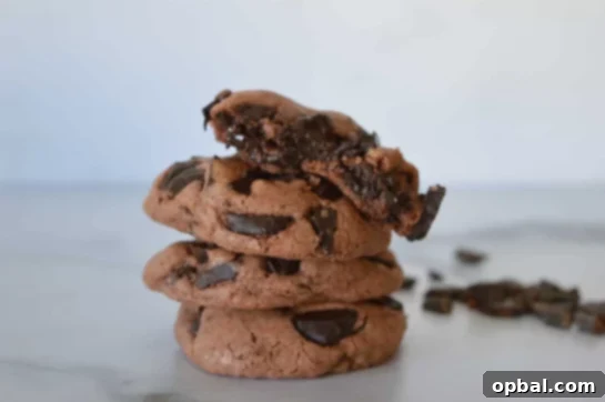 Velvet Pudding Cookies 12 Double Chocolate recipe. Double the chocolate in this cookie recipe for the best way to cure your cravings!
