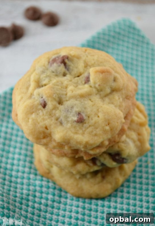 Velvet Pudding Cookies 13 Chocolate Chip Coconut Cookies recipe. This chocolate chip cookie recipe is perfect with the addition of coconut flavors.