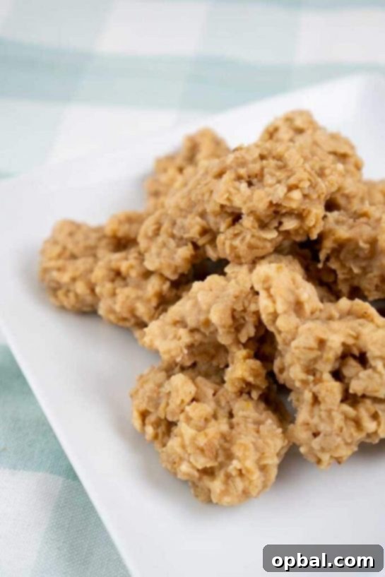 Velvet Pudding Cookies 15 Pumpkin Spice No Bake Cookie recipe. No bakes get seasonal with this recipe that adds pumpkin pudding into the pot for a really great no bake sweet.