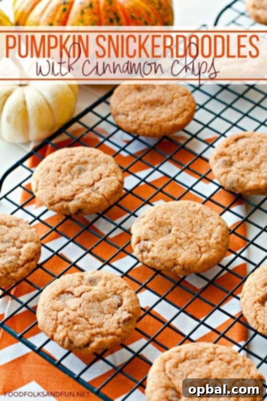 Velvet Pudding Cookies 16 Pumpkin Spice Snickerdoodles recipe. If you want the perfect seasonal treat to make and share, then check out this pumpkin snickerdoodle recipe! These are so good!