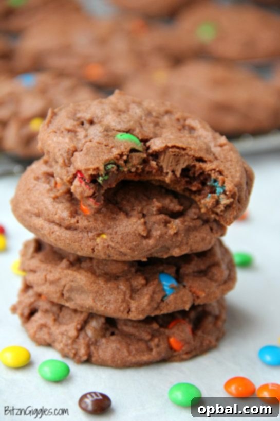 Velvet Pudding Cookies 17 Triple Chocolate Pudding Cookies recipe. If you love chocolate, then this recipe is for you because it packs a triple dose! It is nothing short of decadent!