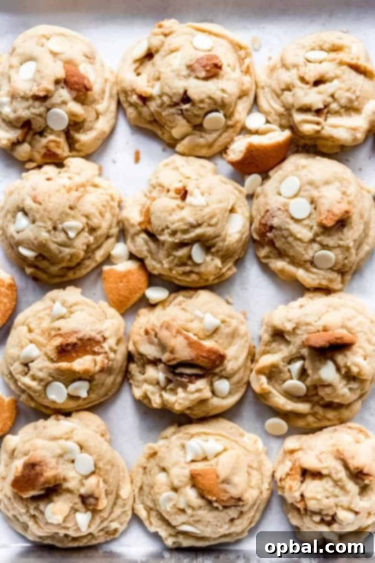 Velvet Pudding Cookies 3 Banana Pudding Cookies recipe. This cookie recipe is loaded with fruity banana flavor! You are sure to want two of these!