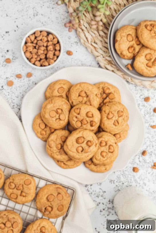 Velvet Pudding Cookies 5 Butterscotch Pudding Cookies Recipe. If you love butterscotch pudding then try these cookies! These are so tasty!