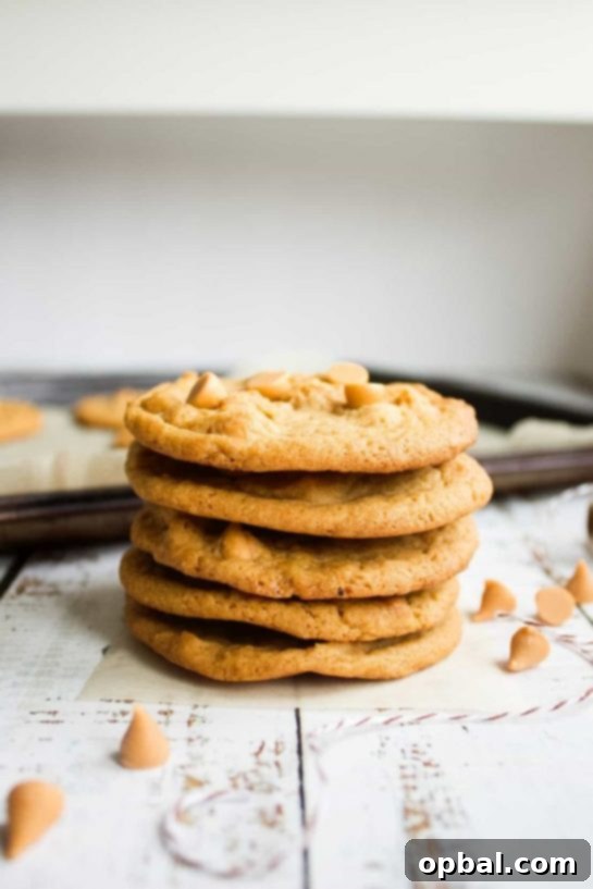 Velvet Pudding Cookies 6 Butterscotch Chip Biscuits recipe. This cookie recipe is crisp, sweet and loaded with butterscotch chips!