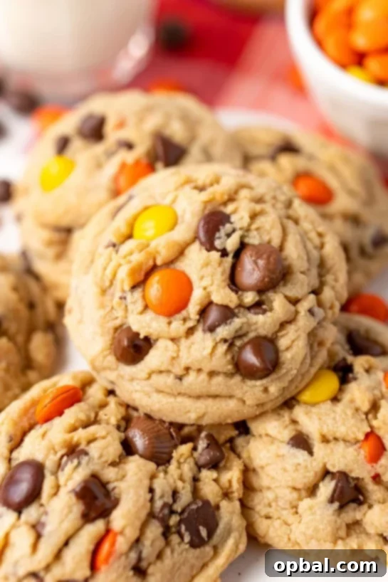 Velvet Pudding Cookies 10 Reese’s Pieces Pudding Cookies recipe. Peanut butter cookies are always a good idea and adding candy gives them a perfect peanut butter kick!
