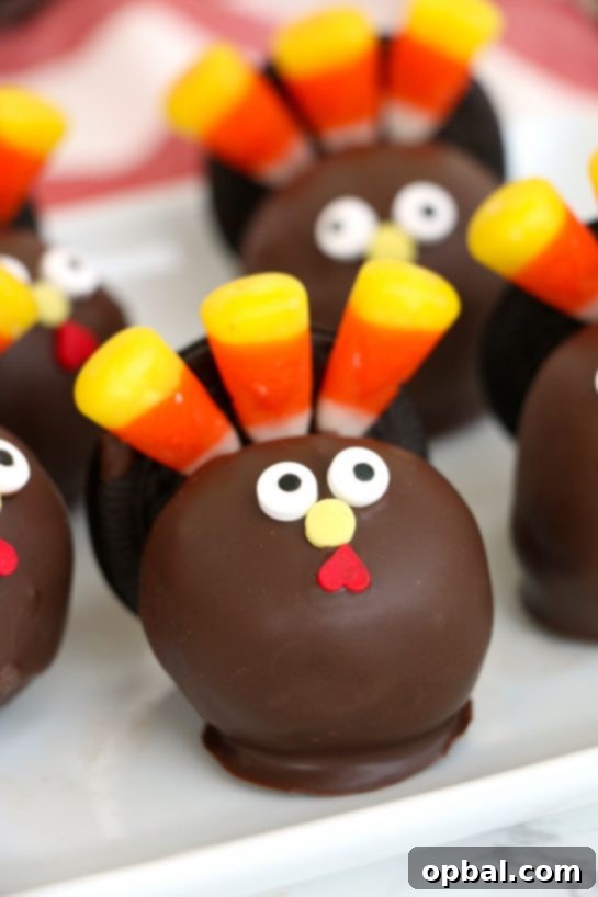 Gobble-Worthy Cake Pops 2 Turkey Cake Pops are so fun to make and festive for fall! The entire family will enjoy these turkey pops for Thanksgiving.