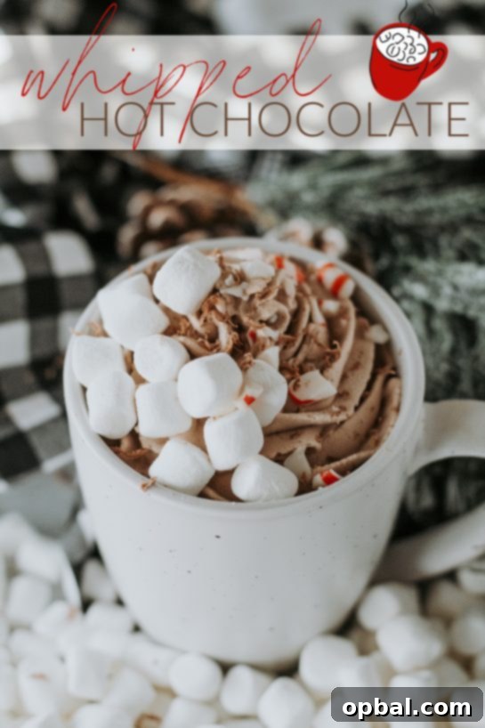 A beautifully styled mug of creamy whipped hot chocolate with marshmallows and chocolate shavings, inviting a cozy experience.