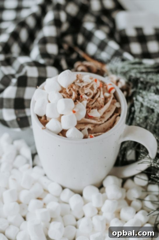 Pillowy Hot Chocolate 4 Overhead view of a glass mug filled with decadent whipped hot chocolate, showcasing its rich texture and inviting appeal.