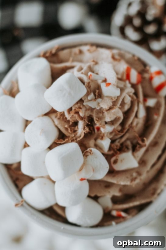 Pillowy Hot Chocolate 8 A delicious looking cup of whipped hot chocolate with a generous swirl of chocolate and tempting toppings, ready to be devoured.