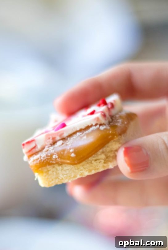 Sweet Valentine's Millionaire Bars 11 A close-up, tempting shot of a single Valentine's Day Millionaire Bar, revealing the thick, chewy caramel layer sandwiched between the crisp shortbread and festive chocolate topping.