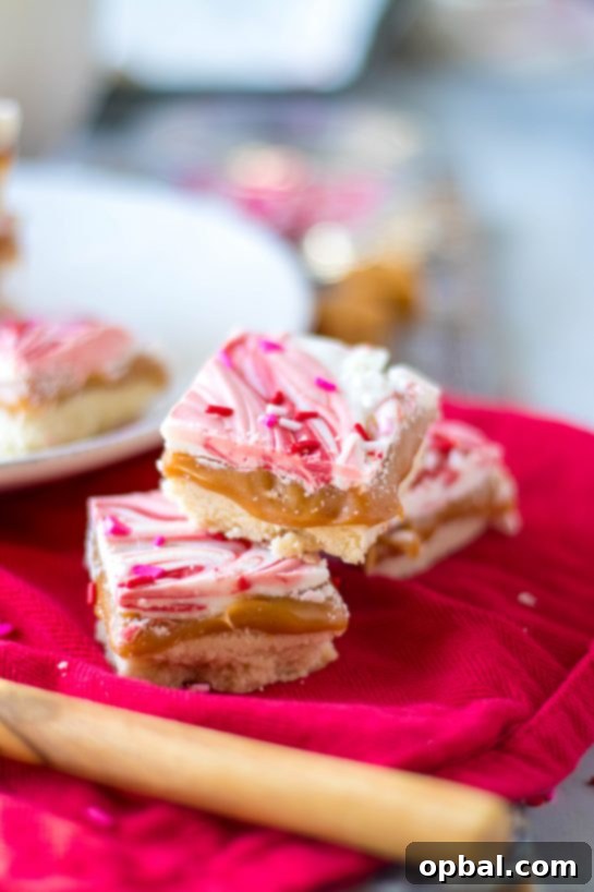 Sweet Valentine's Millionaire Bars 14 A final, appetizing shot of the completed Valentine's Day Millionaire Bars, perfectly prepared and arranged for a festive holiday serving.