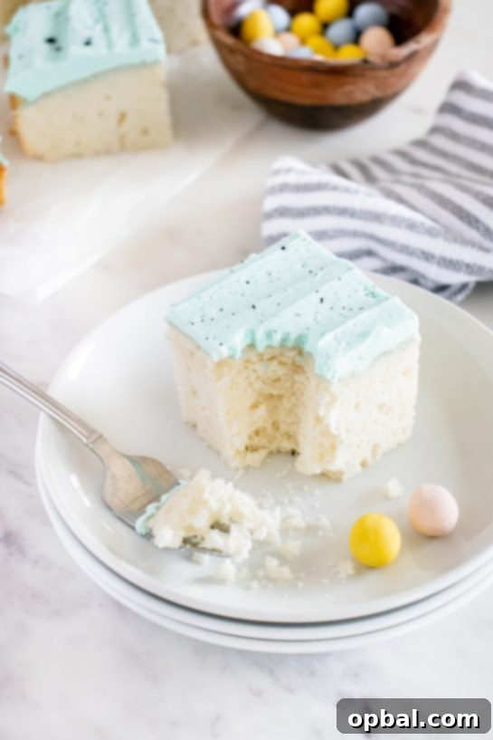 Robin's Egg Easter Cakelets 9 Another overhead shot of the full Easter Speckled Egg Snack Cake, highlighting its blue frosting and chocolate speckles.