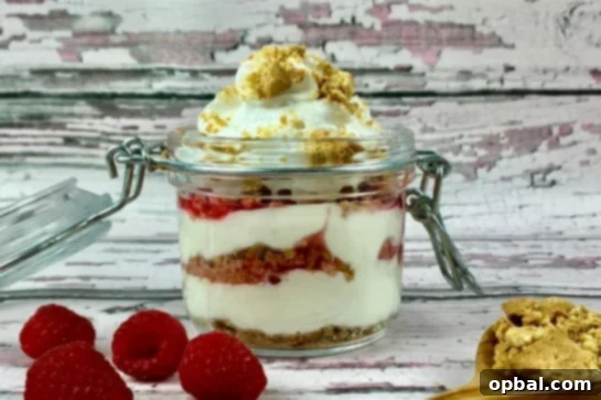 22 Firecracker Flavors for the Fourth 5 Portable No Bake Cheesecake Jars layered with red raspberries and blue blueberries, ideal for 4th of July picnics and parties.