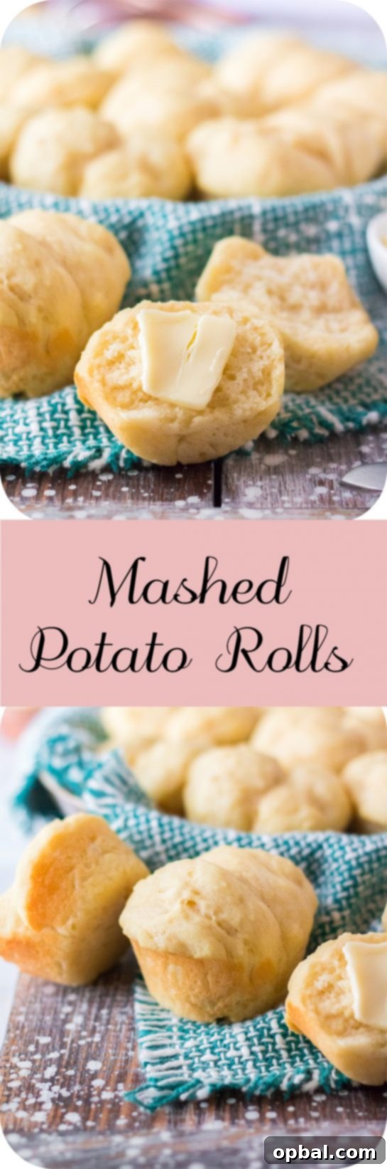 Pillowy Potato Dinner Rolls 12 Easy, Best Mashed Potato Rolls recipe is classic, family favorite roll that is easy to make. These rolls are tender, fluffy and slightly sweet. Leftover mashed potatoes are the secret ingredient to these addictive little rolls of perfection.