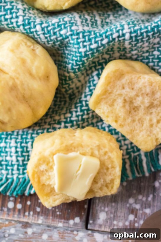 Pillowy Potato Dinner Rolls 6 Mashed potato rolls out of the oven for Thanksgiving dinner.