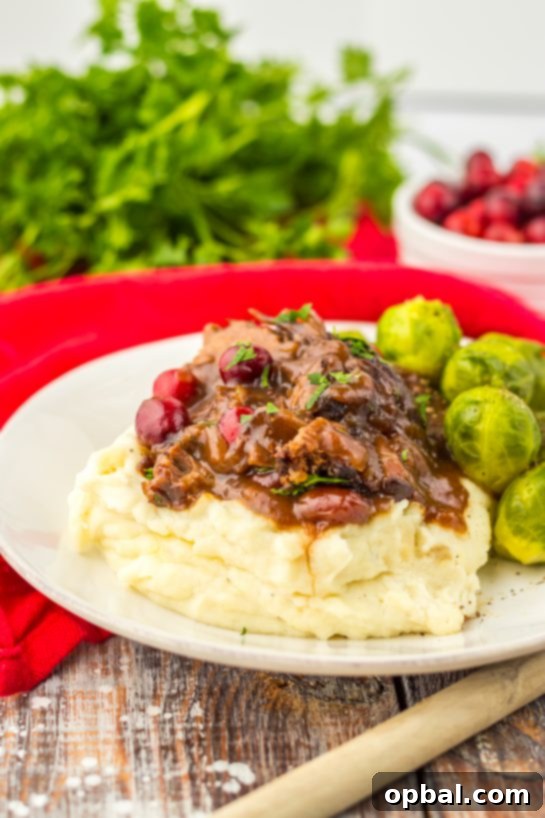 Crock Pot Cranberry Roast Beef is one of those easy, perfect slow cooker recipes to make for the holidays. Just a few ingredients are all you need to create this flavorful roast beef perfect for those chilly nights. Onion soup mix and cranberry sauce come together to make a delicious gravy!