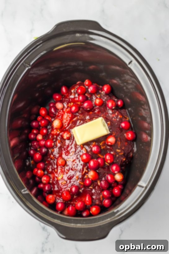 Mixing the ingredients needed to make the Crock Pot Cranberry Roast Beef recipe