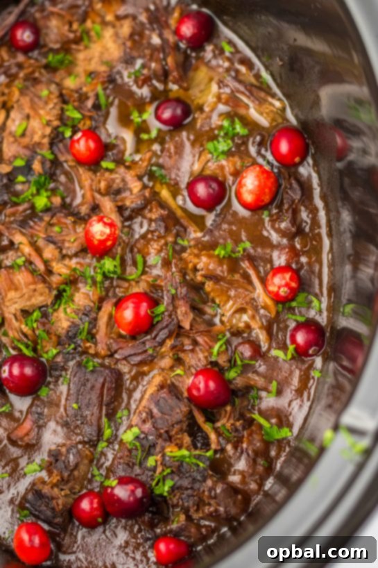 Close-up overhead photo of the Crock Pot Cranberry Roast Beef recipe