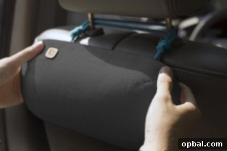 4 Perfect Valentine's Day Gift Ideas for Your Sweetheart 4 PURGGO Car Air Eco-Purifier & Freshener photograph