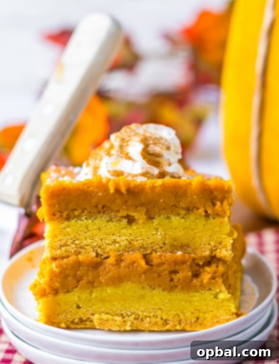 Decadent Pumpkin Gooey Bliss 2 A slice of Pumpkin Gooey Butter Cake topped with powdered sugar and whipped cream, highlighting its moist, golden-brown crust and luscious, creamy pumpkin filling, perfect for Thanksgiving and holiday celebrations.