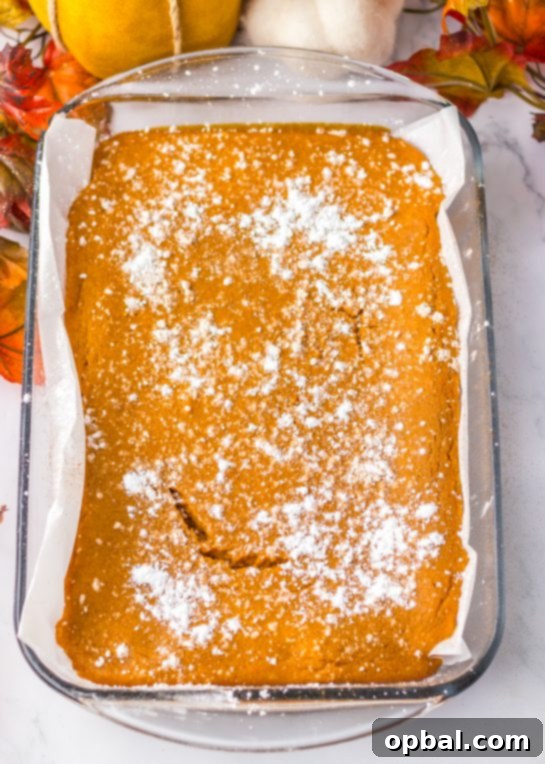 Decadent Pumpkin Gooey Bliss 5 A freshly baked Pumpkin Gooey Butter Cake, golden brown and perfectly set, cooling out of the oven, ready to be sliced and enjoyed.