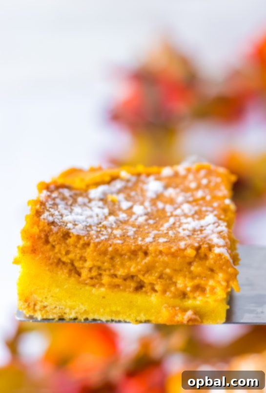 Close-up of a generous slice of Pumpkin Gooey Butter Cake, showcasing its incredibly moist, gooey pumpkin filling and the sturdy, buttery cake mix crust, adorned with powdered sugar and ready to be savored.