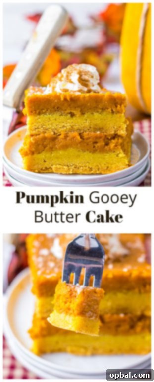 The finished Pumpkin Gooey Butter Cake, generously dusted with powdered sugar and ready to be enjoyed, showcasing its rich, creamy texture and perfect golden crust, a must-have for autumn.