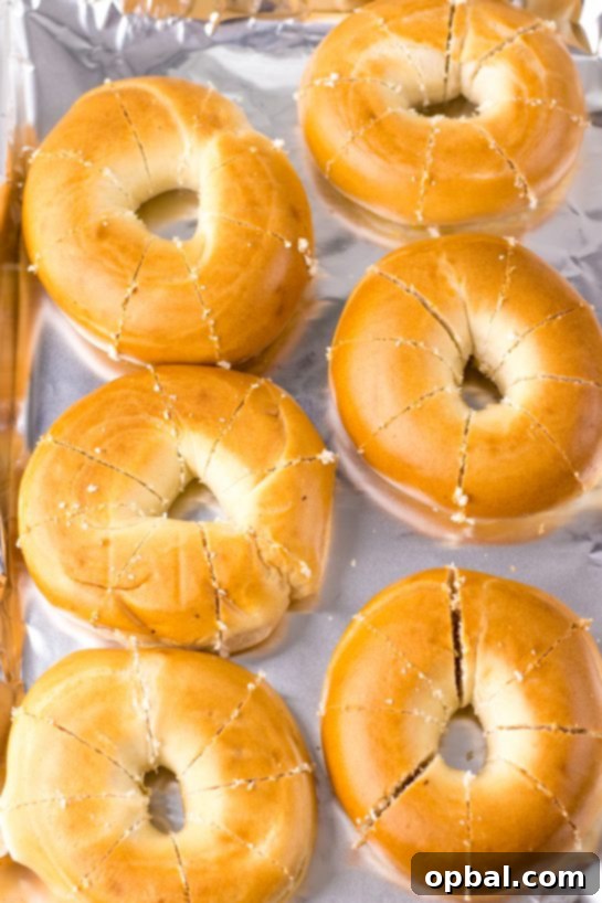 Photo of Tik Tok Stuffed Bagels expertly sliced into accordion-like sections, ready to be stuffed with the creamy filling.