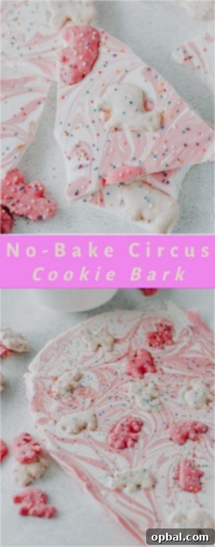 Delicious and easy No-Bake Circus Cookie Bark dessert, a colorful treat with circus animal cookies and white chocolate, perfect for any occasion.